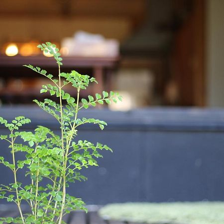 晴家 Guest House Fujikawaguchiko Buitenkant foto